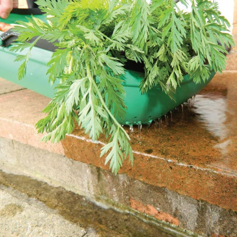Colander Trug