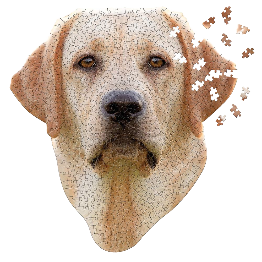 Shaped Jigsaw Puzzle - Lab - 550pcs