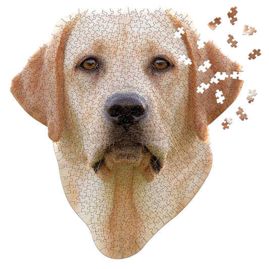 Shaped Jigsaw Puzzle - Lab - 550pcs