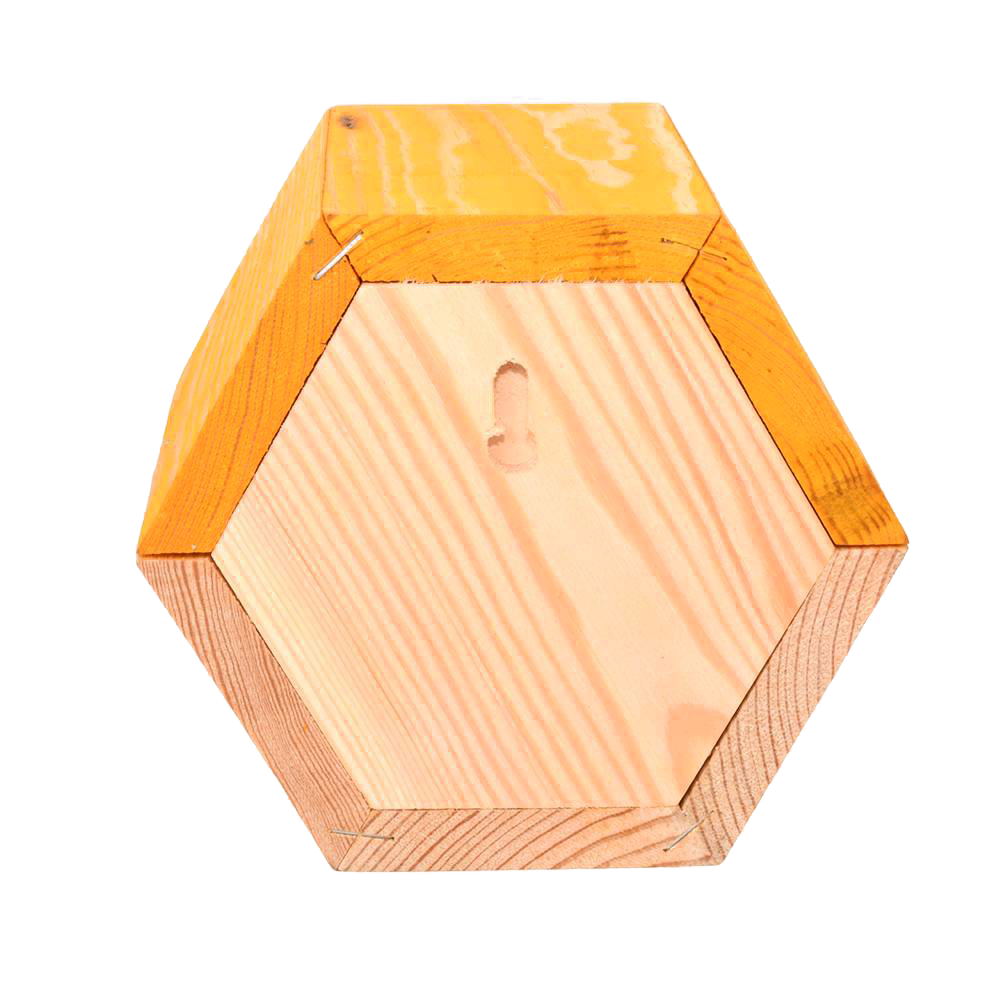 Hexagonal Bee House