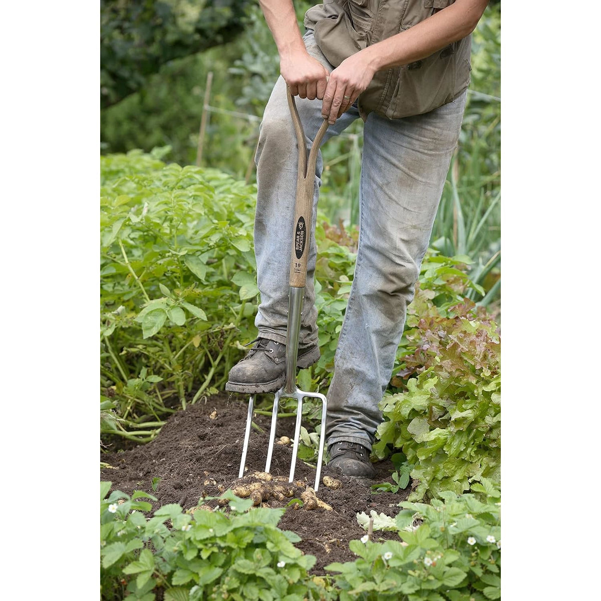 Spear & Jackson Traditional Stainless Digging Fork